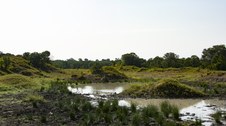 Enlarge photo 77