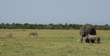 Enlarge photo 103