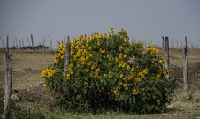 Enlarge photo 114