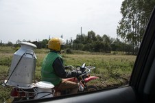 Enlarge photo 115