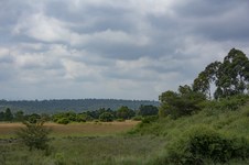 Enlarge photo 123