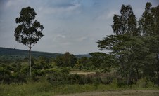 Enlarge photo 124