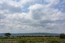 Enlarge photo 125