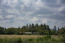 Enlarge photo 126