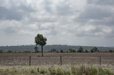Enlarge photo 127