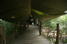 Enlarge photo 139