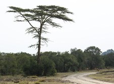 Enlarge photo 147