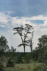 Enlarge photo 153