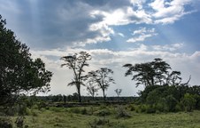 Enlarge photo 156