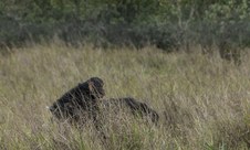 Enlarge photo 157