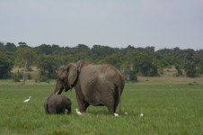 Enlarge photo 180