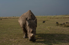 Enlarge photo 202