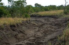 Enlarge photo 193