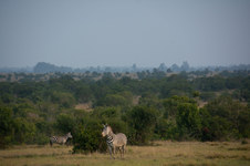 Enlarge photo 206