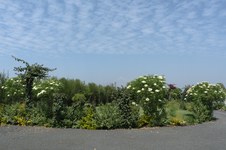 Enlarge photo 61
