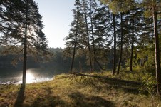 Enlarge photo 10