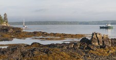 Enlarge photo 17