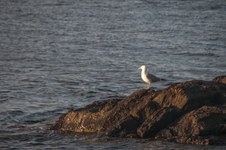 Enlarge photo 12