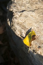 Enlarge photo 16