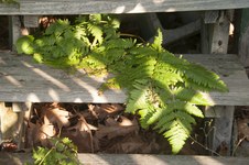 Enlarge photo 19