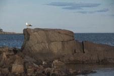 Enlarge photo 10