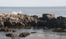 Enlarge photo 14