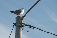 Enlarge photo 22