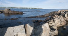 Enlarge photo 15