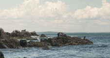 Enlarge photo 13