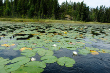 Enlarge photo 15