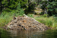 Enlarge photo 17
