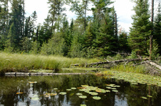 Enlarge photo 18