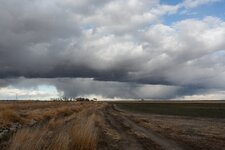 Enlarge photo 15