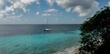 Enlarge photo 61