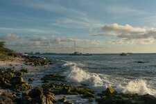 Enlarge photo 16