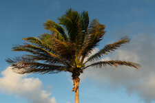 Enlarge photo 19