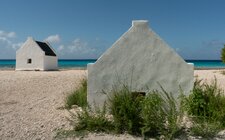 Enlarge photo 47