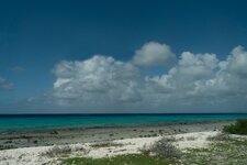 Enlarge photo 48