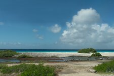 Enlarge photo 49