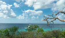 Enlarge photo 52