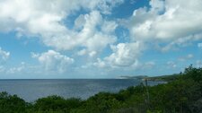 Enlarge photo 53