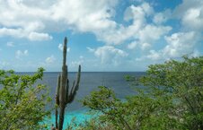 Enlarge photo 54