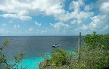 Enlarge photo 55