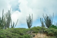 Enlarge photo 63