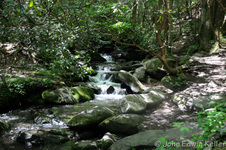 Enlarge photo 6