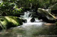 Enlarge photo 9