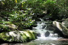 Enlarge photo 10