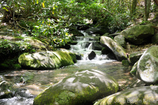 Enlarge photo 11