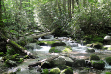 Enlarge photo 12