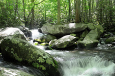 Enlarge photo 15